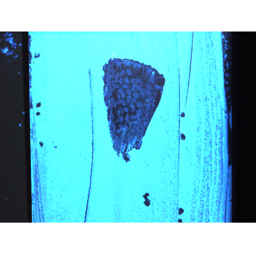 Application note 0011 showing UV light inspection to detect discontinuities in adhesives and sealants on industrial parts